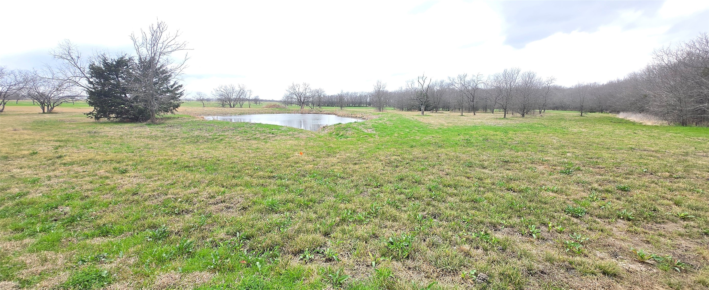 Tbd Buckthorn Drive Quinlan TX 75474