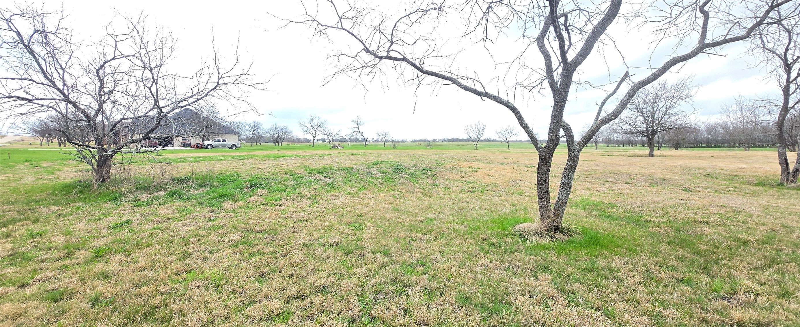 Tbd Buckthorn Drive Quinlan TX 75474