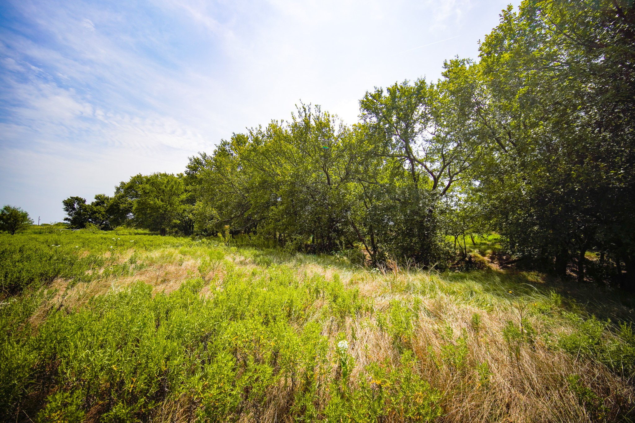 29.47 Acres Ballard Road Jacksboro TX 76458