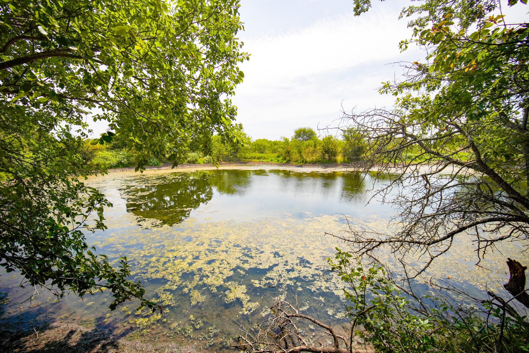 29.47 Acres Ballard Road Jacksboro TX 76458