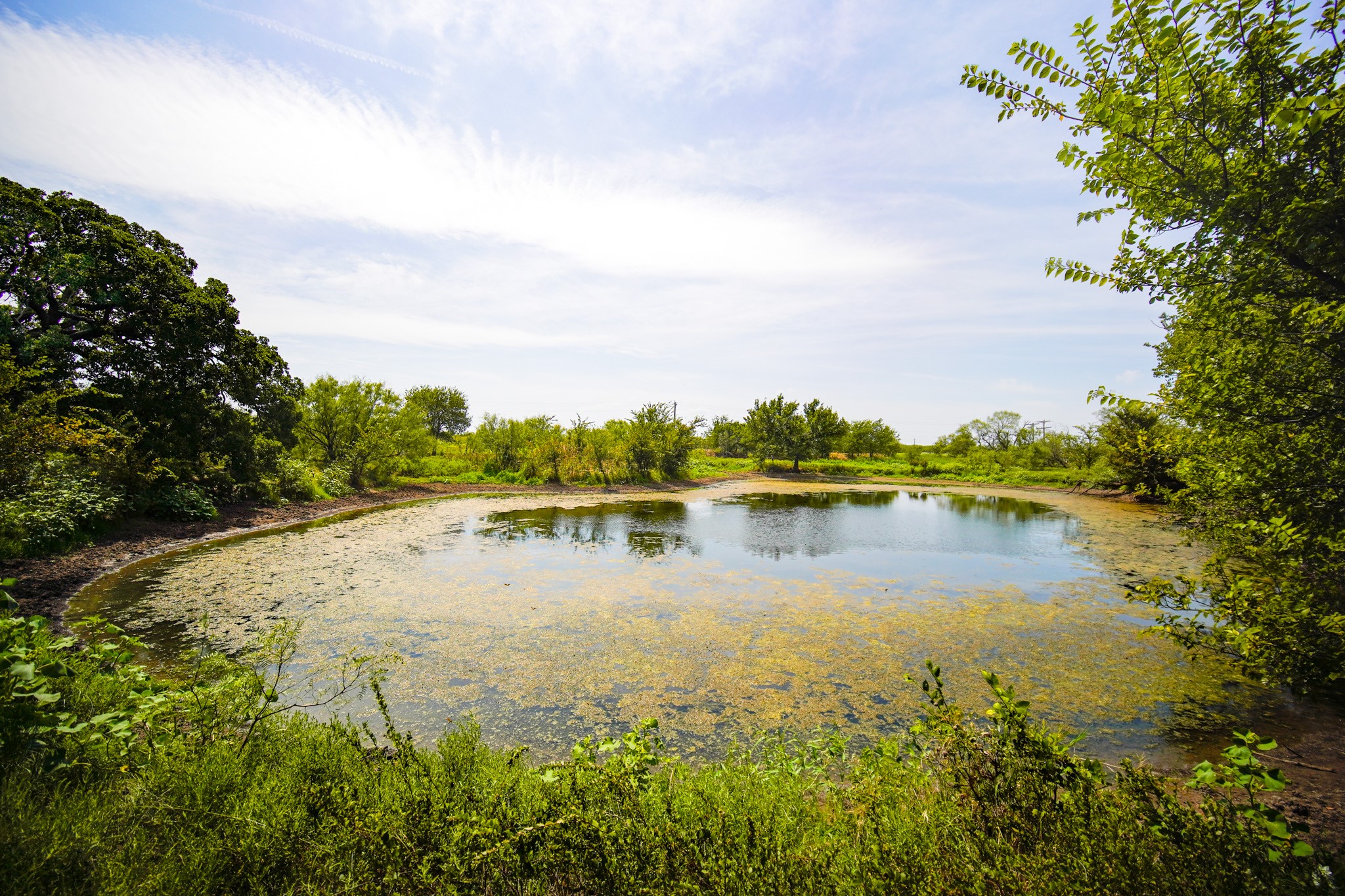 29.47 Acres Ballard Road Jacksboro TX 76458