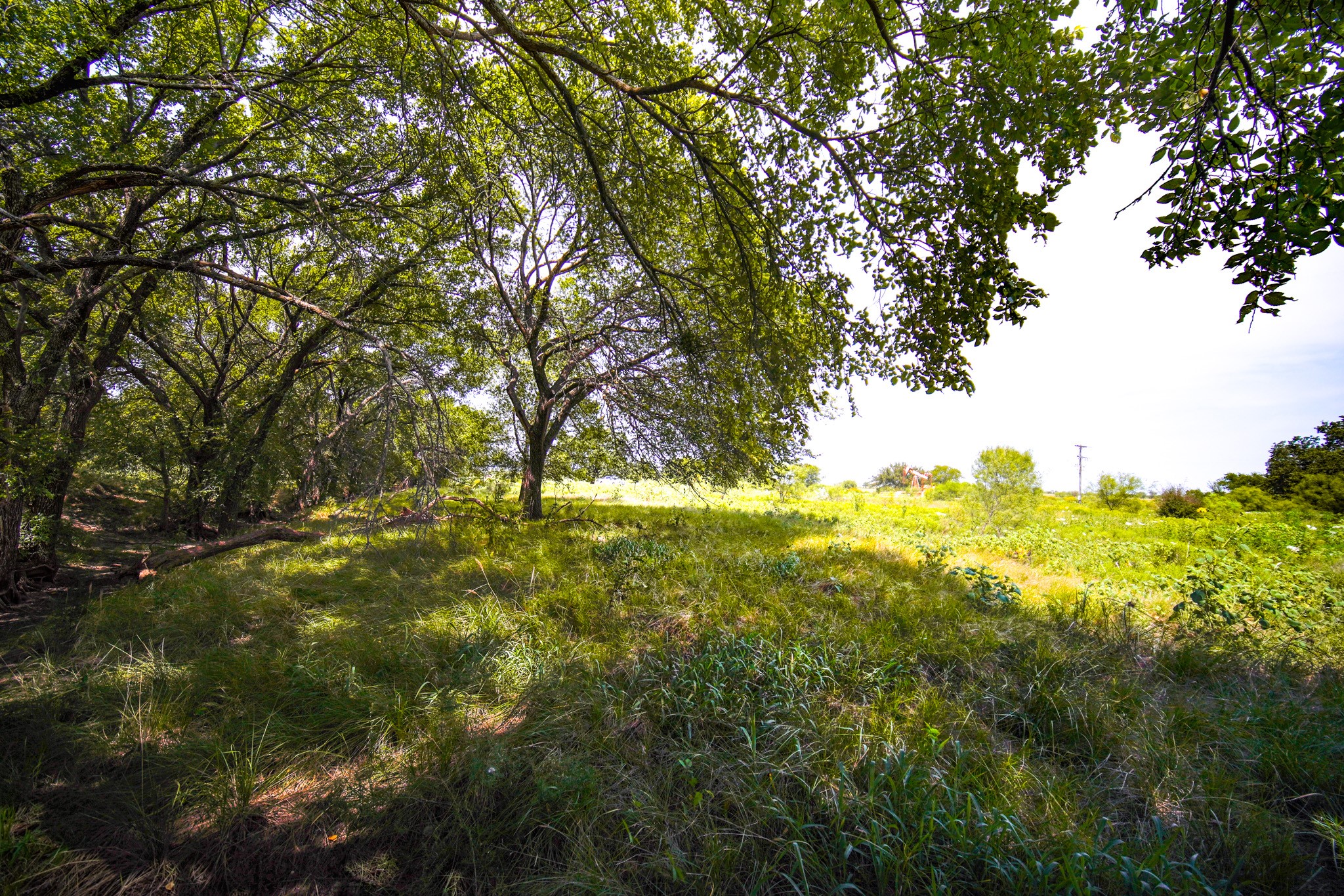 29.47 Acres Ballard Road Jacksboro TX 76458