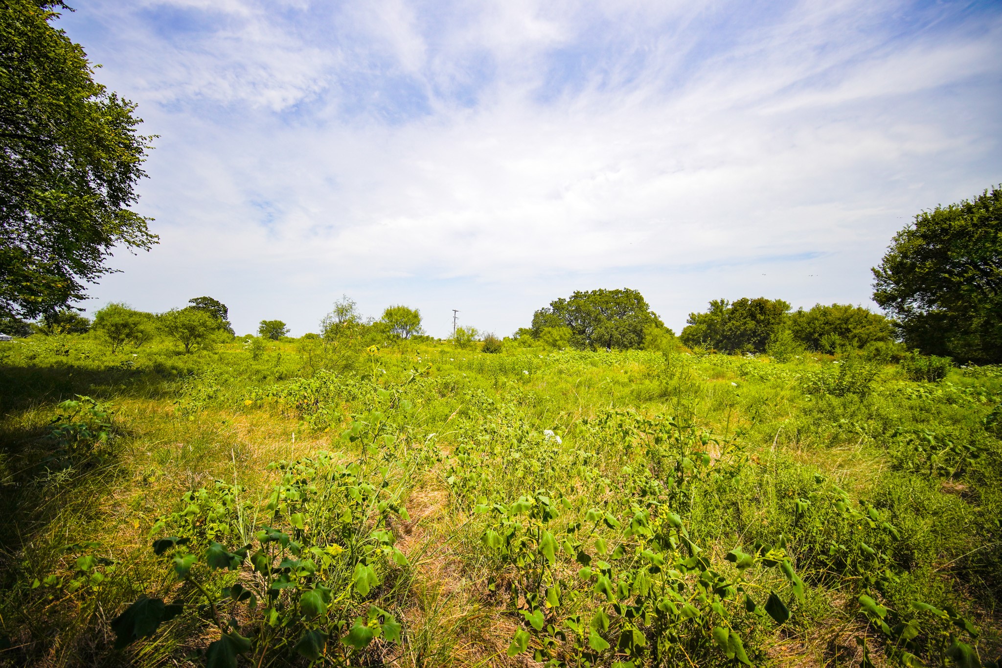 29.47 Acres Ballard Road Jacksboro TX 76458
