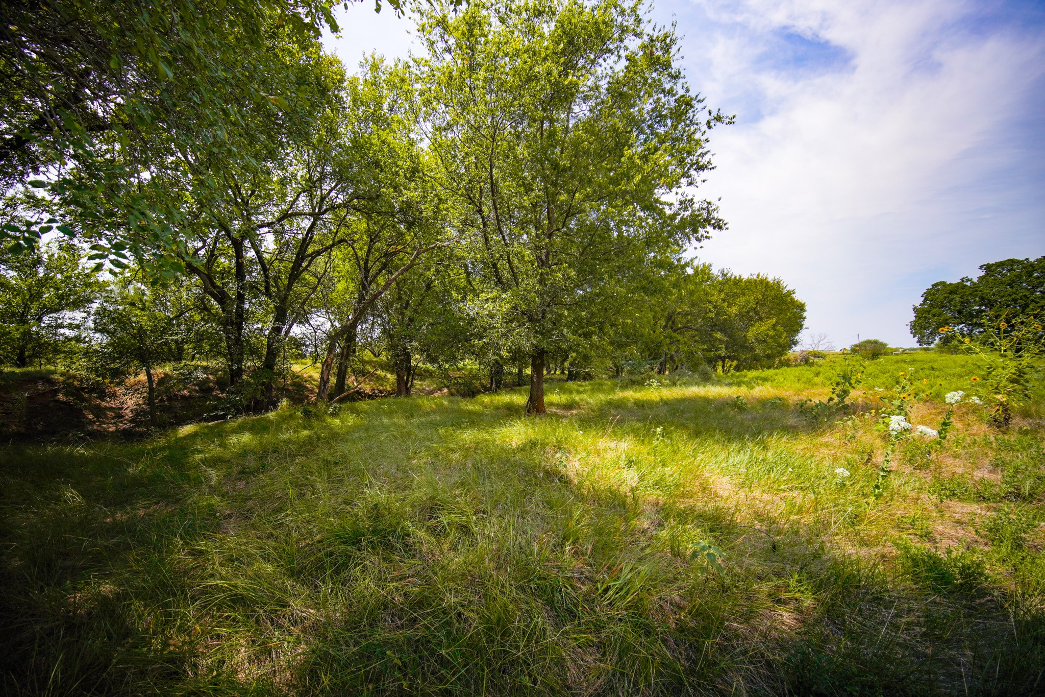 29.47 Acres Ballard Road Jacksboro TX 76458