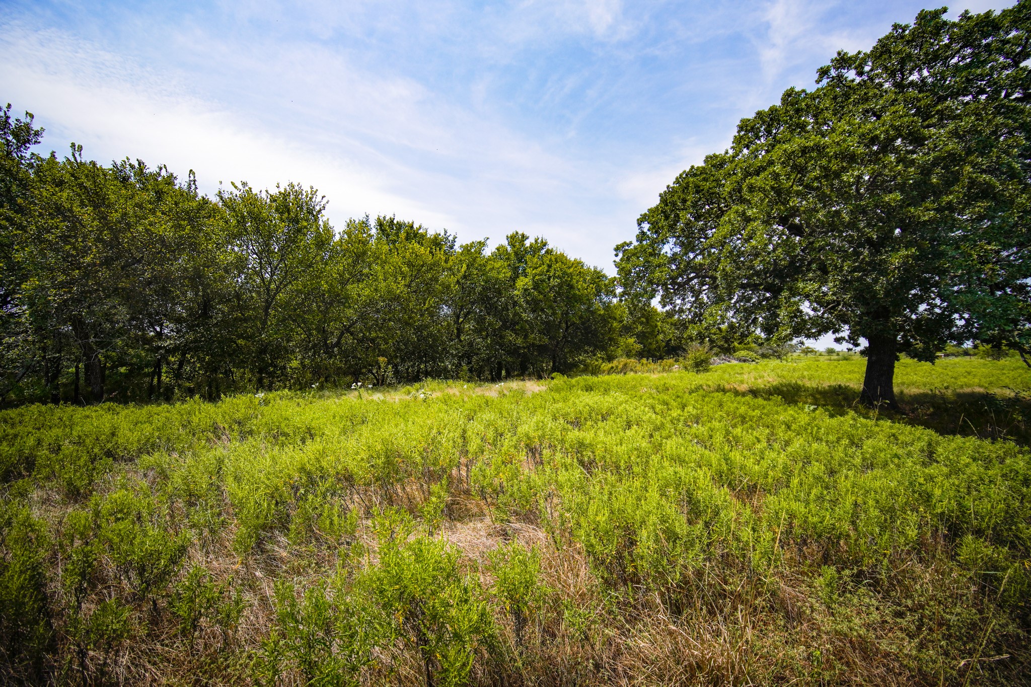 29.47 Acres Ballard Road Jacksboro TX 76458