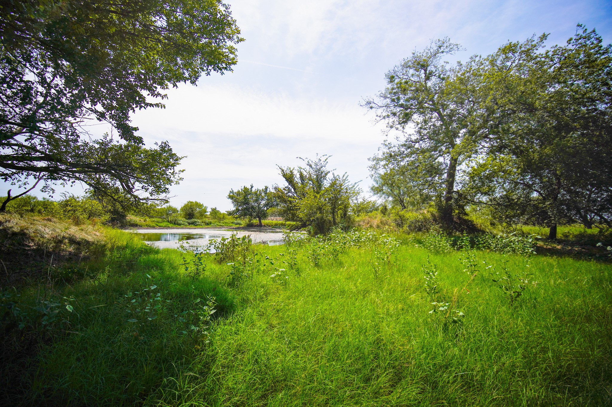 29.47 Acres Ballard Road Jacksboro TX 76458