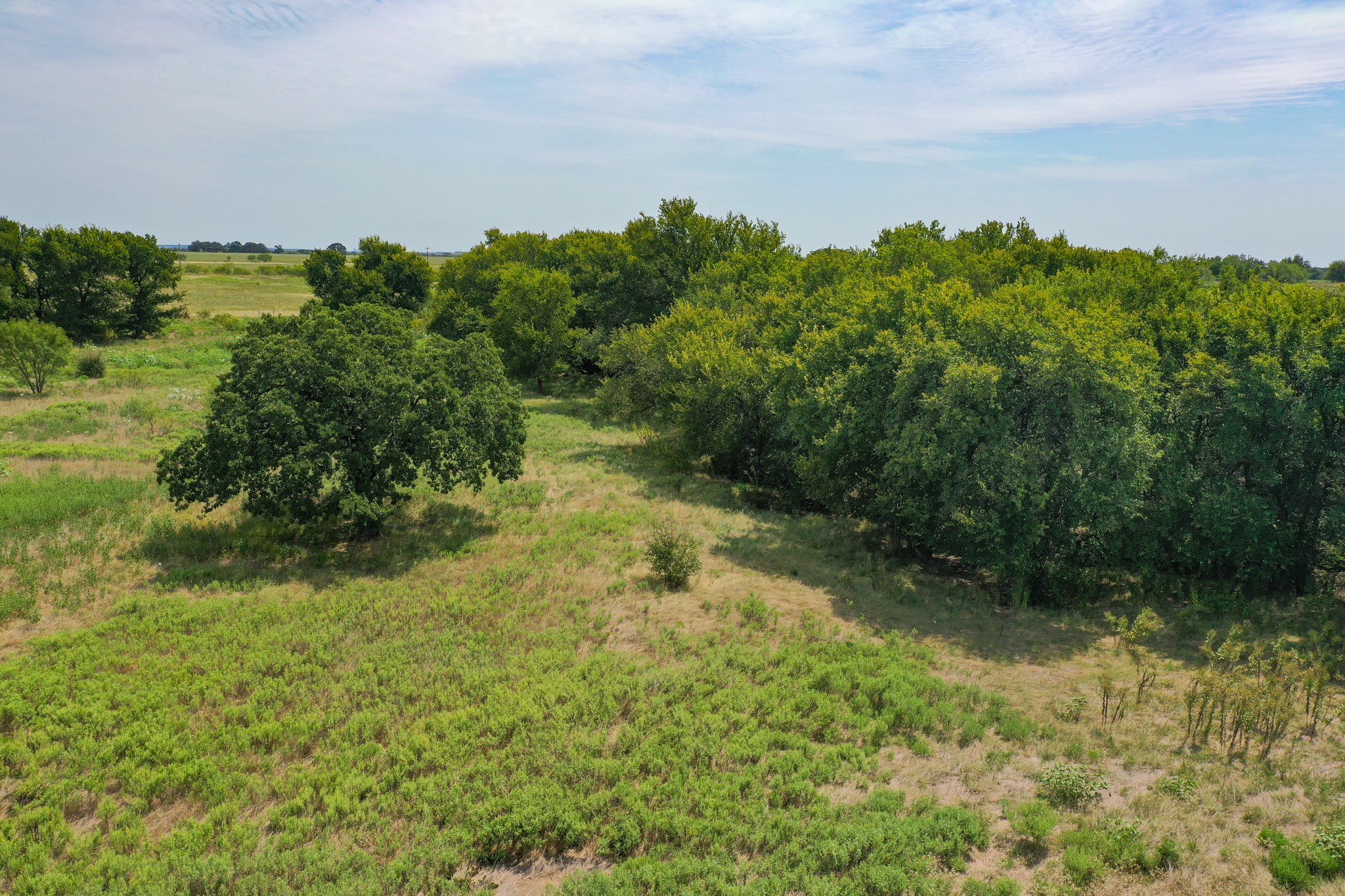 29.47 Acres Ballard Road Jacksboro TX 76458