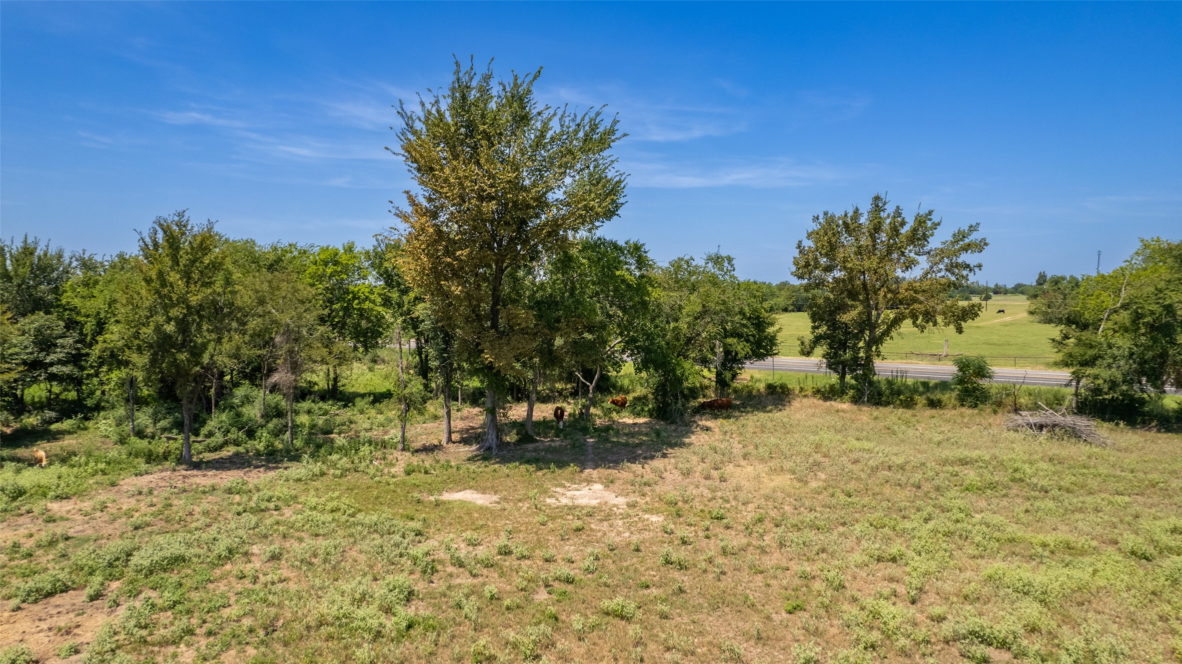 15 Acres Highway 19 Sulphur Springs TX 75482