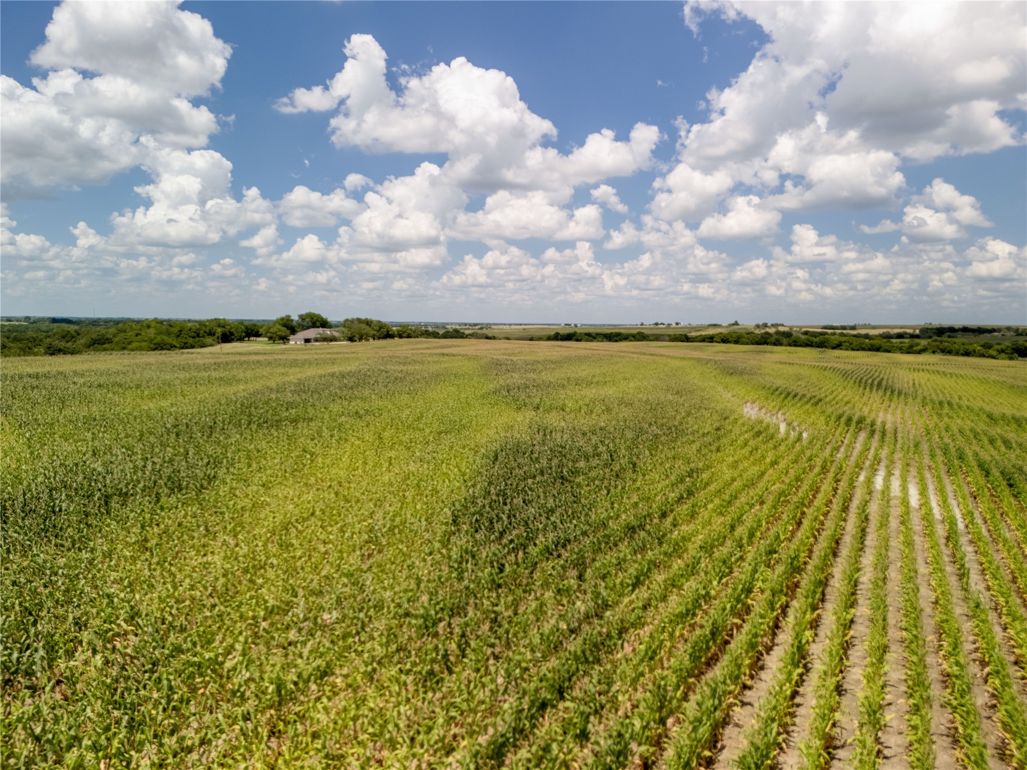 12.54 Acres | Tract 3 County Road 3307 Hubbard TX 76648