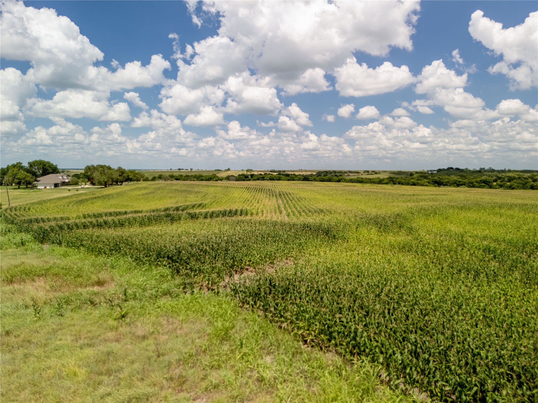 12.54 Acres | Tract 3 County Road 3307 Hubbard TX 76648