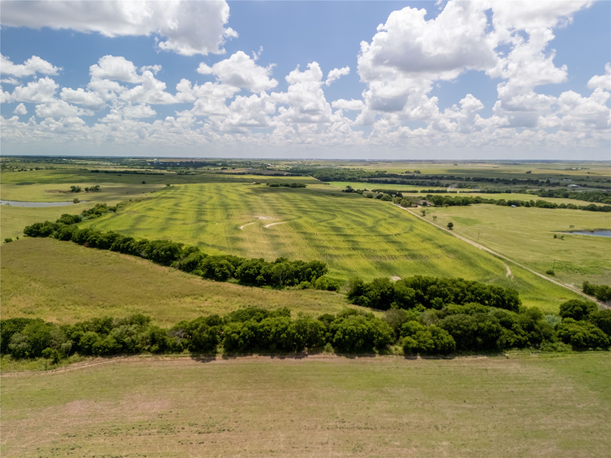 12.54 Acres | Tract 3 County Road 3307 Hubbard TX 76648