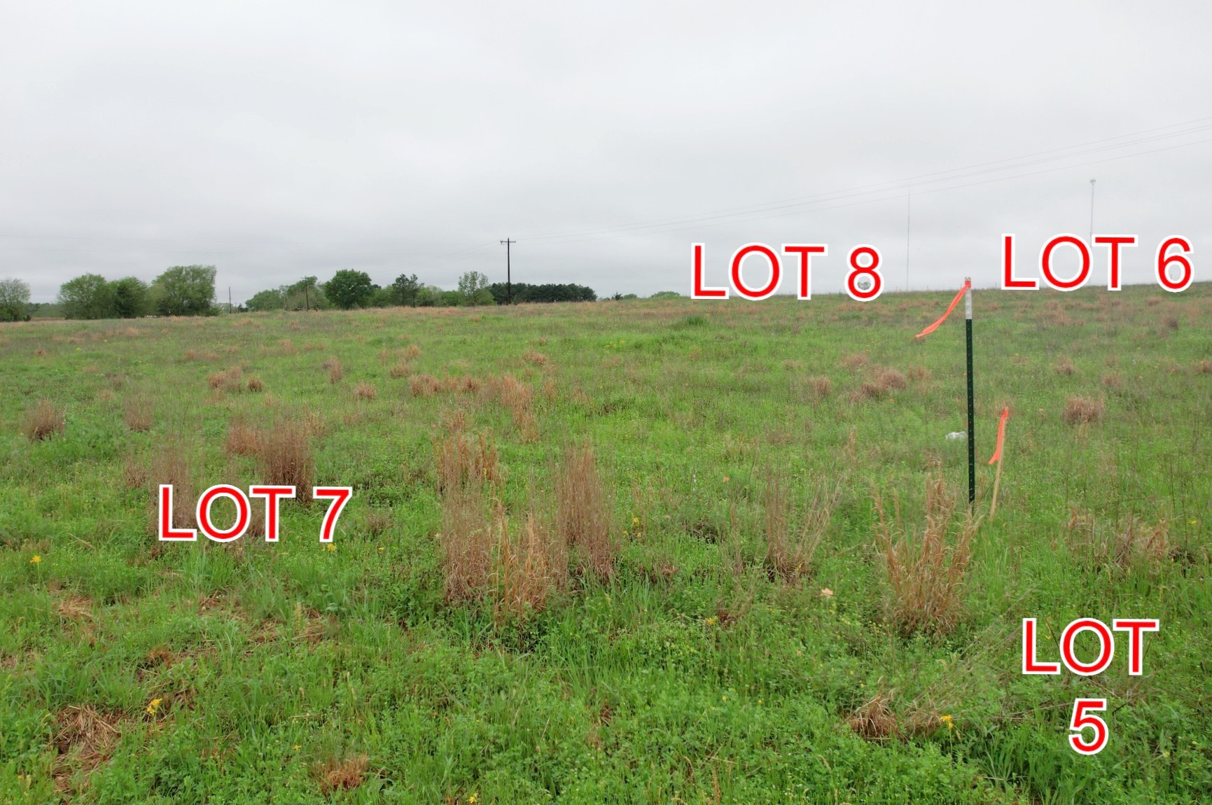 Tbd Lot 8 County Road 4287 Winnsboro TX 75494