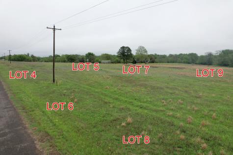 Tbd Lot 8 County Road 4287 Winnsboro TX 75494