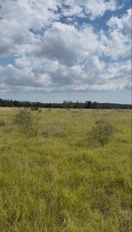 7523 N Grape Road Fredericksburg TX 78624