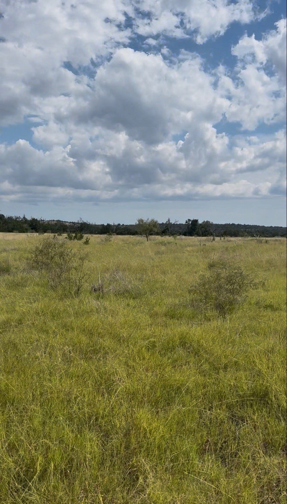 7523 N Grape Road Fredericksburg TX 78624