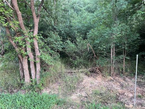 Lot 91 92 93 Stone Circle Gordonville TX 76245