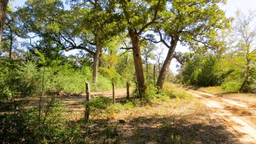 Tbd Jack Rabbit Lane Hearne TX 77859