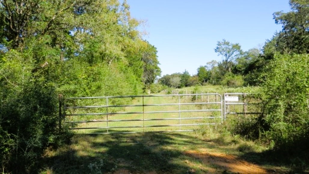 Tbd Jack Rabbit Lane Hearne TX 77859