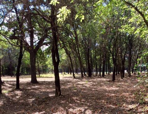 057 Blackjack Parkway Nocona TX 76255