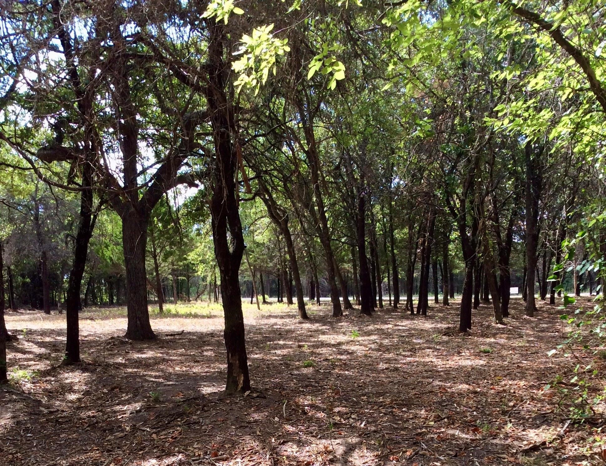 057 Blackjack Parkway Nocona TX 76255