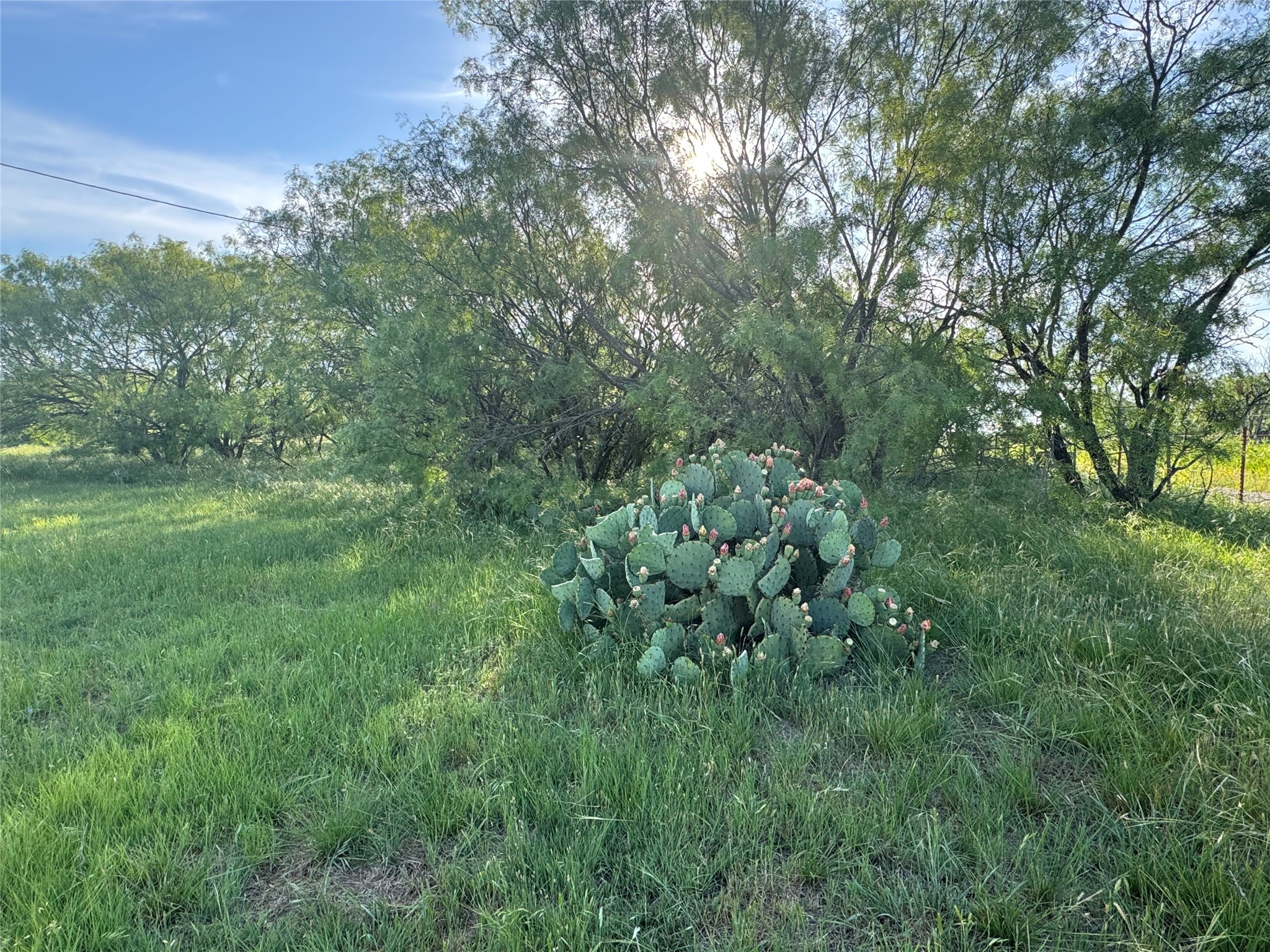 794 W Antelope Road Jacksboro TX 76389