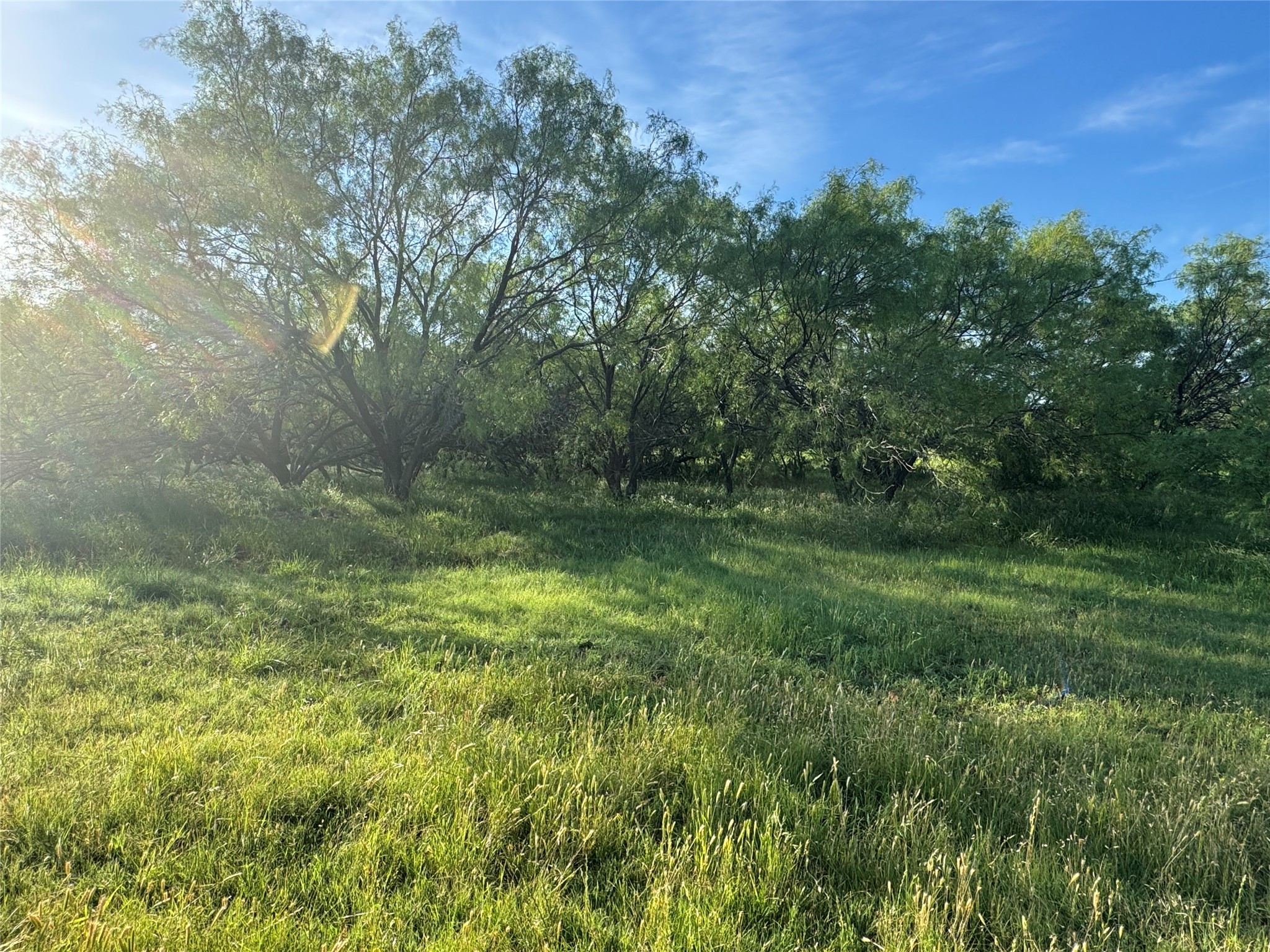 794 W Antelope Road Jacksboro TX 76389
