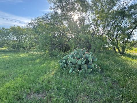 794 W Antelope Road Jacksboro TX 76389