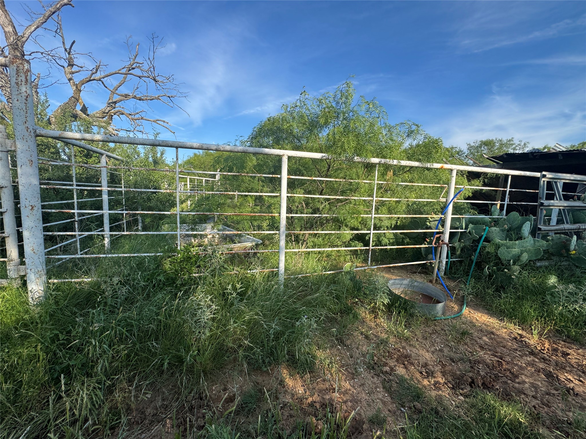 794 W Antelope Road Jacksboro TX 76389