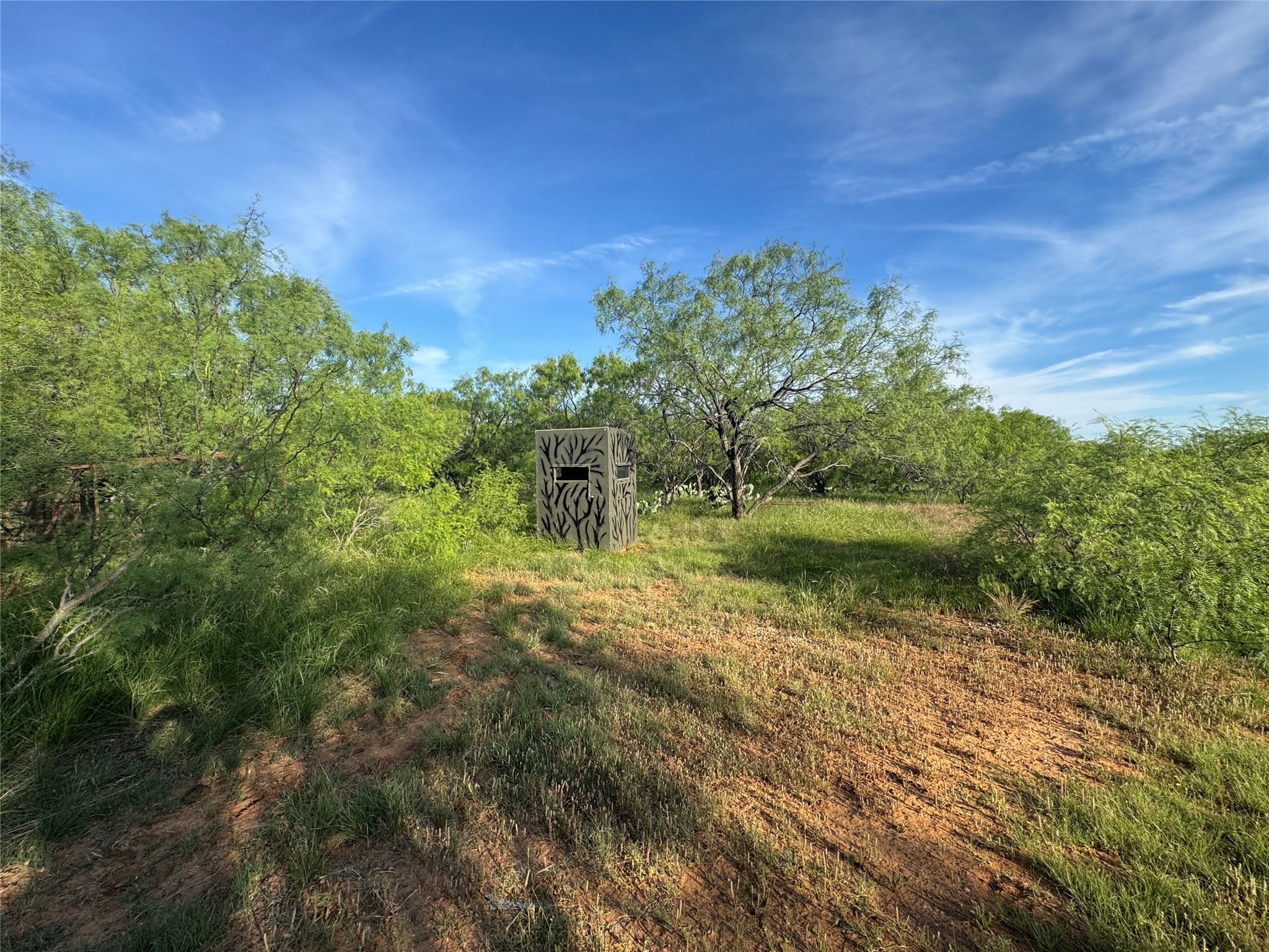 794 W Antelope Road Jacksboro TX 76389