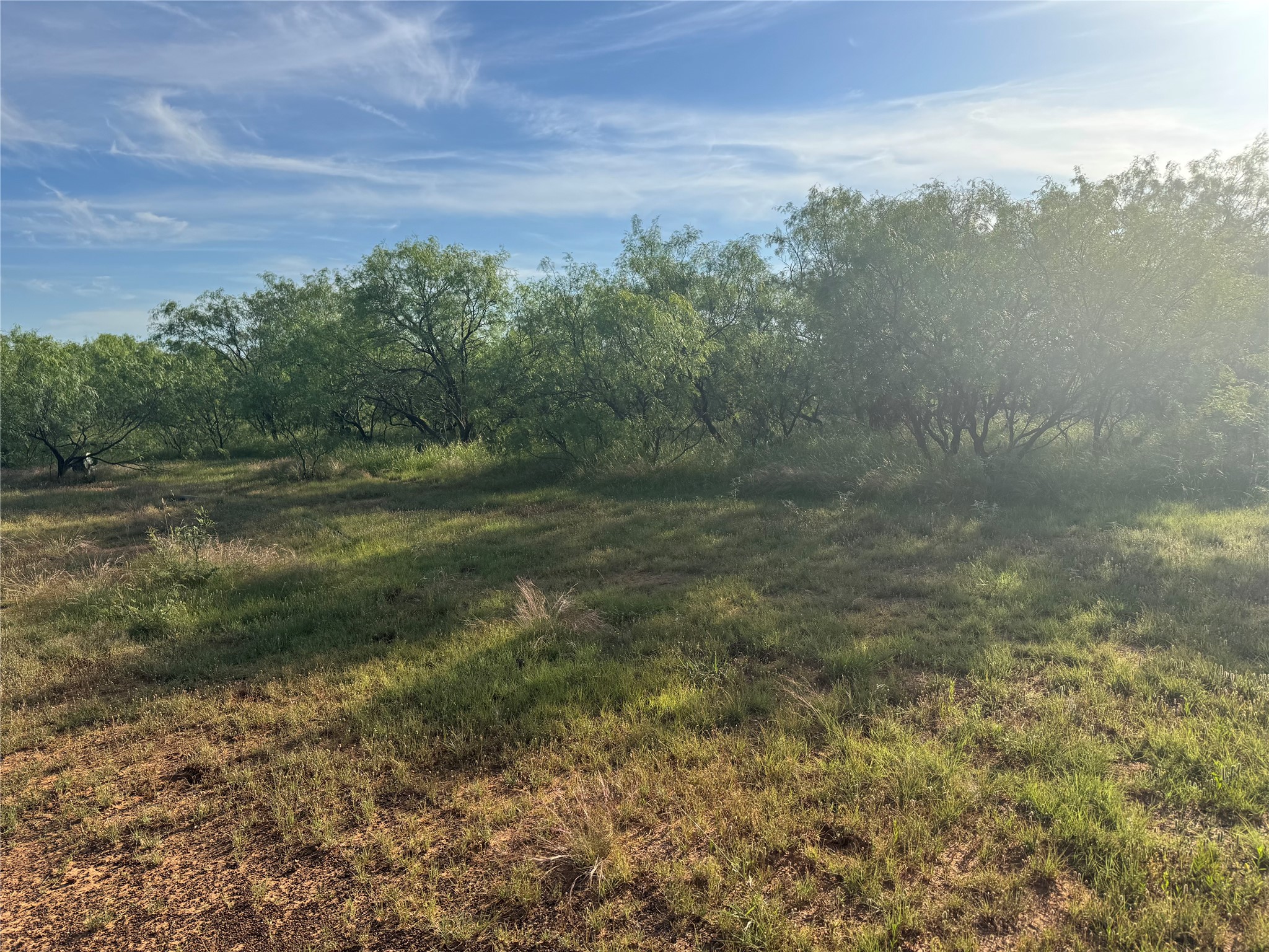 794 W Antelope Road Jacksboro TX 76389
