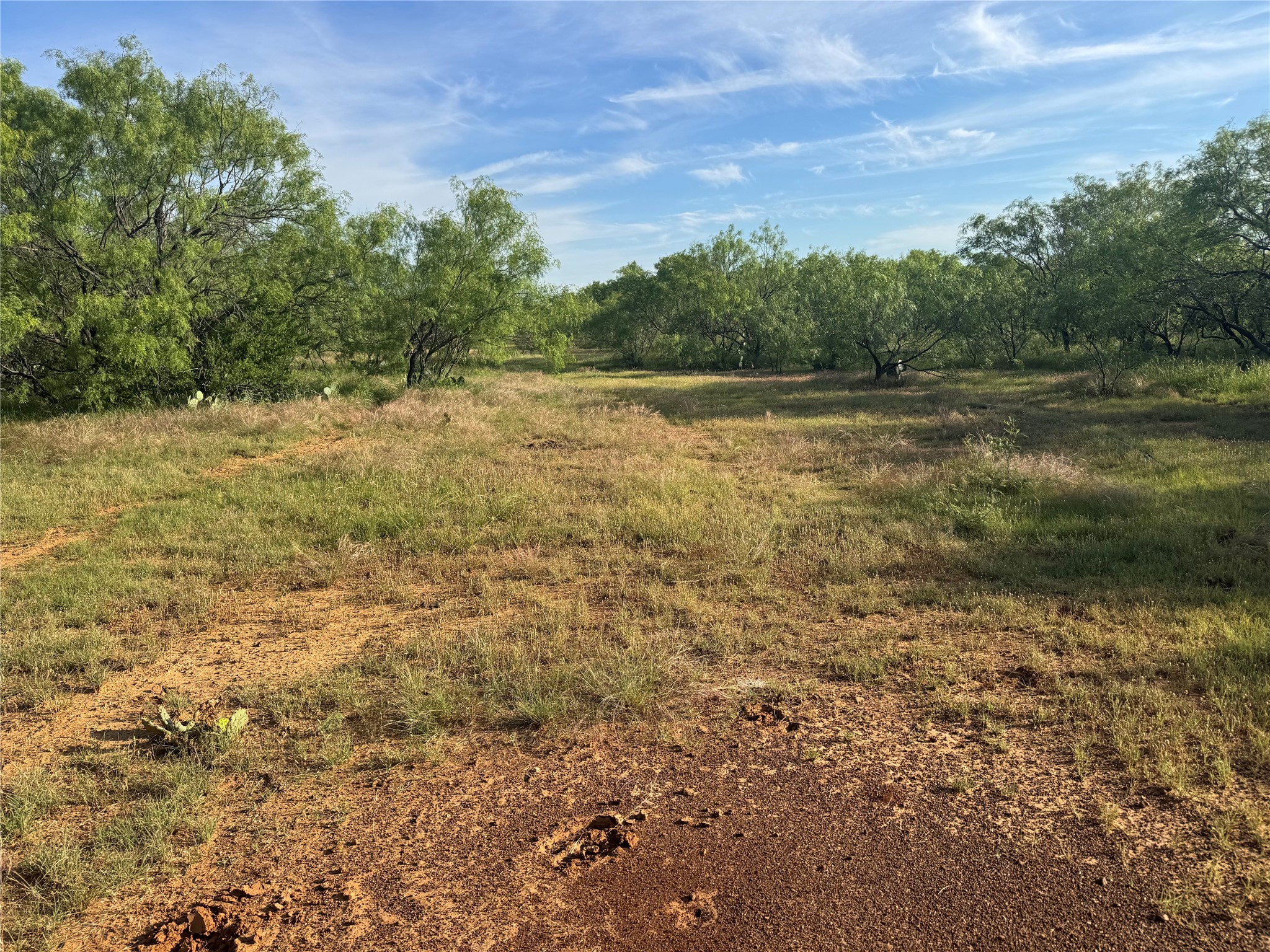 794 W Antelope Road Jacksboro TX 76389