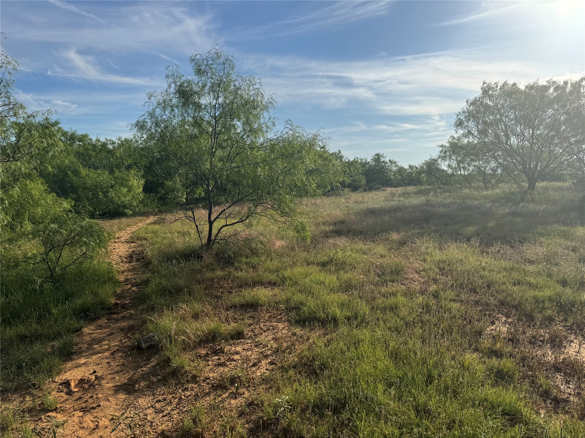 794 W Antelope Road Jacksboro TX 76389