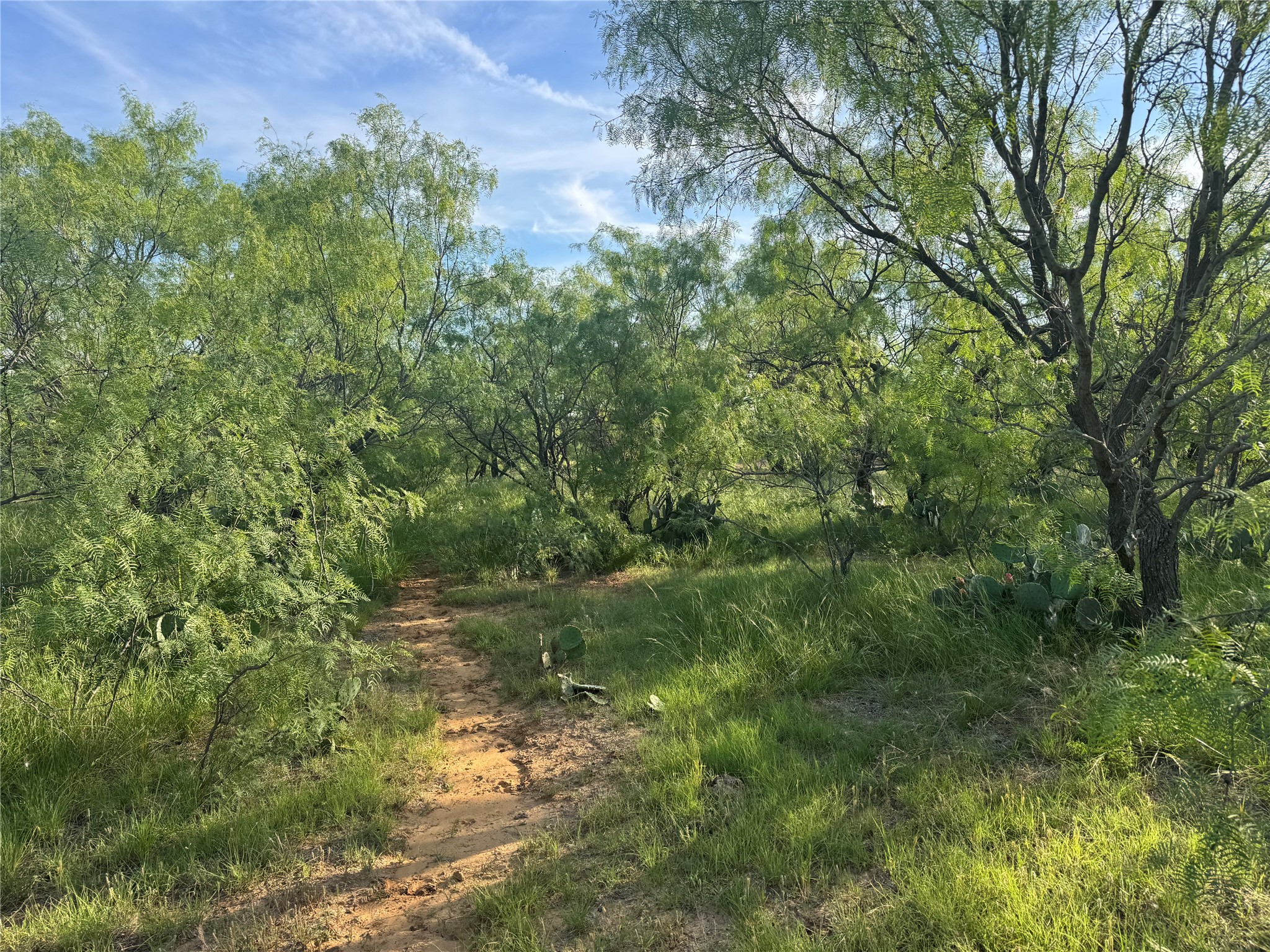 794 W Antelope Road Jacksboro TX 76389