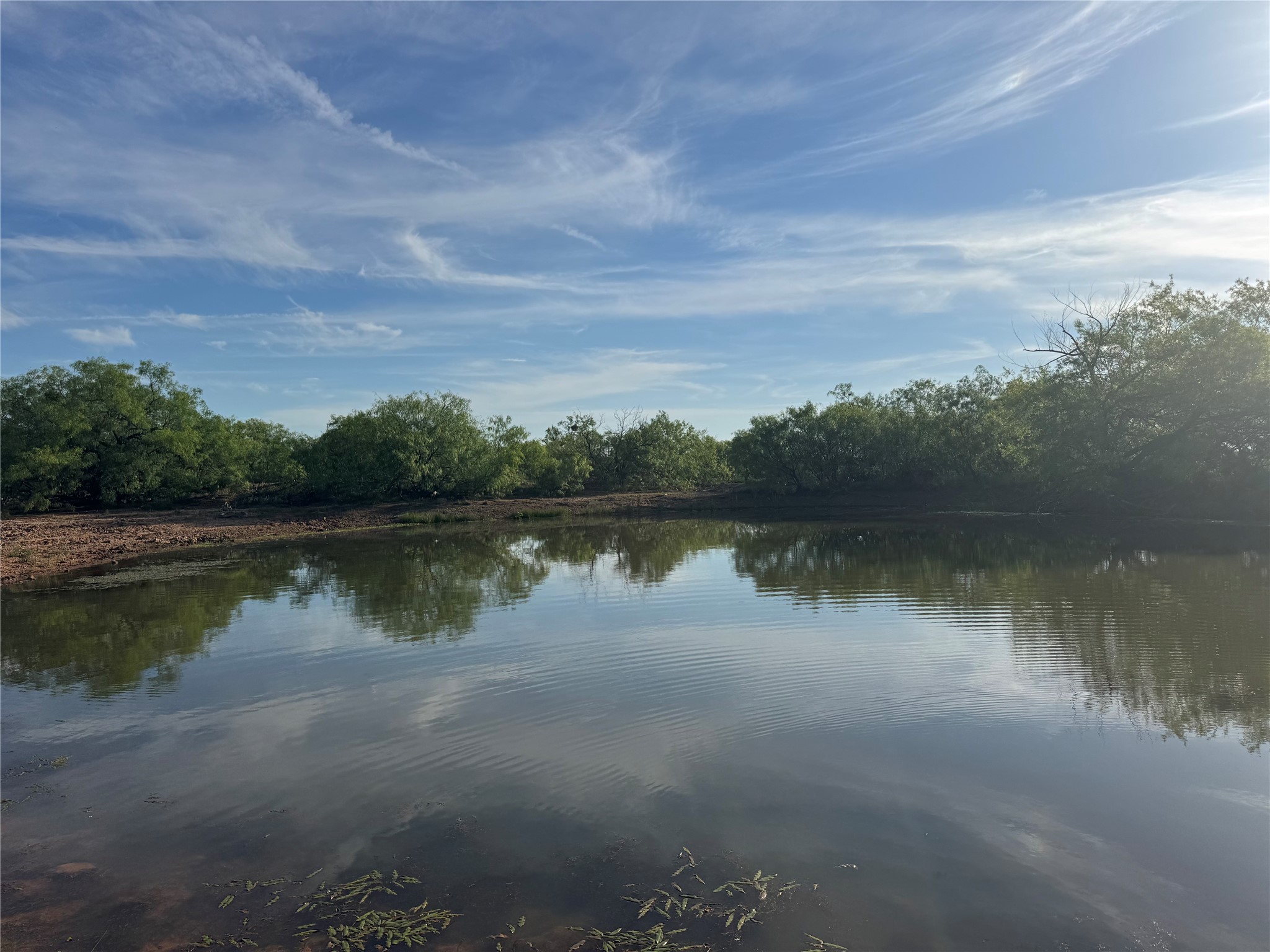 794 W Antelope Road Jacksboro TX 76389