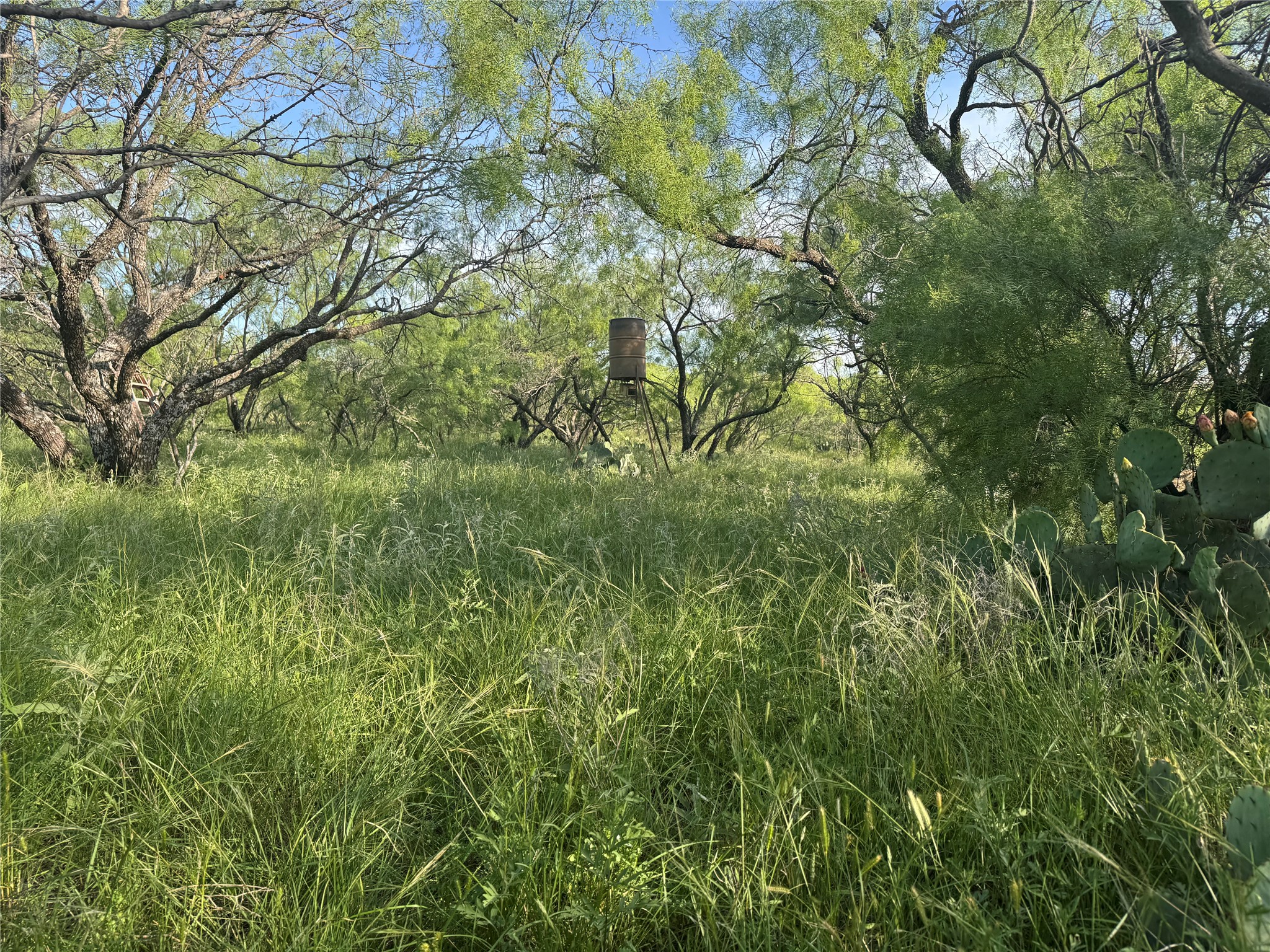 794 W Antelope Road Jacksboro TX 76389