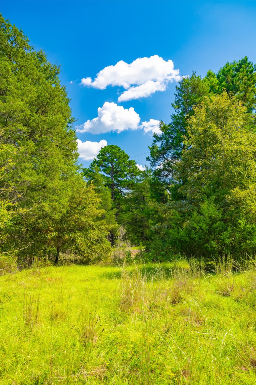 14799 Fm 315 Palestine TX 75803