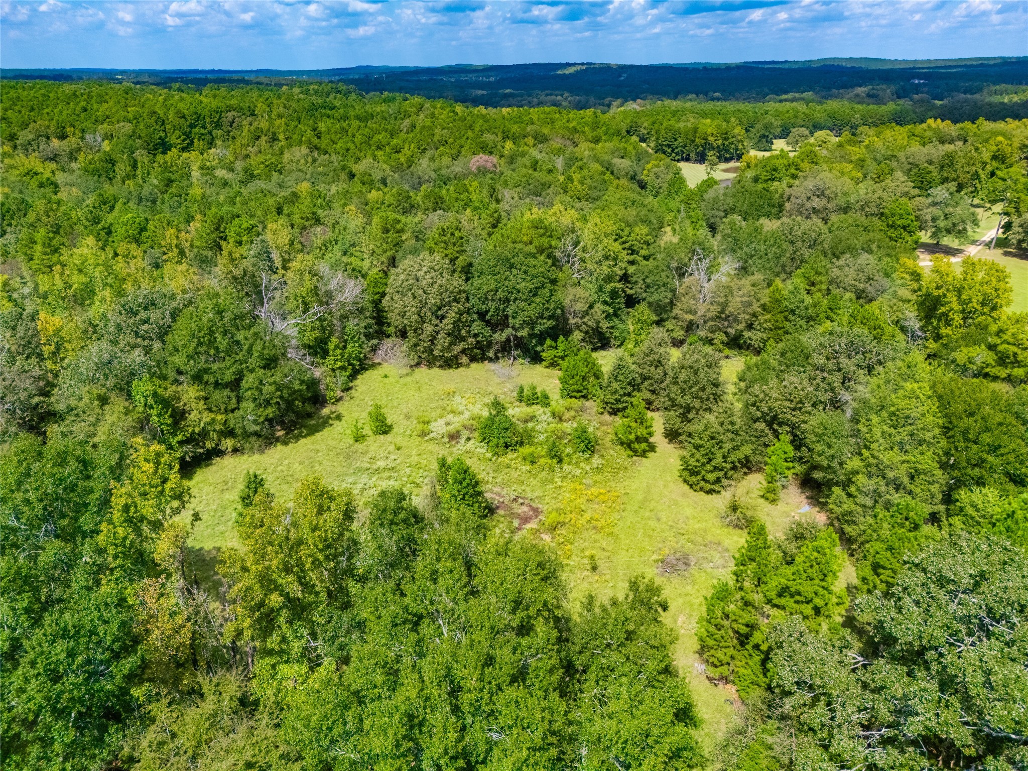 14799 Fm 315 Palestine TX 75803