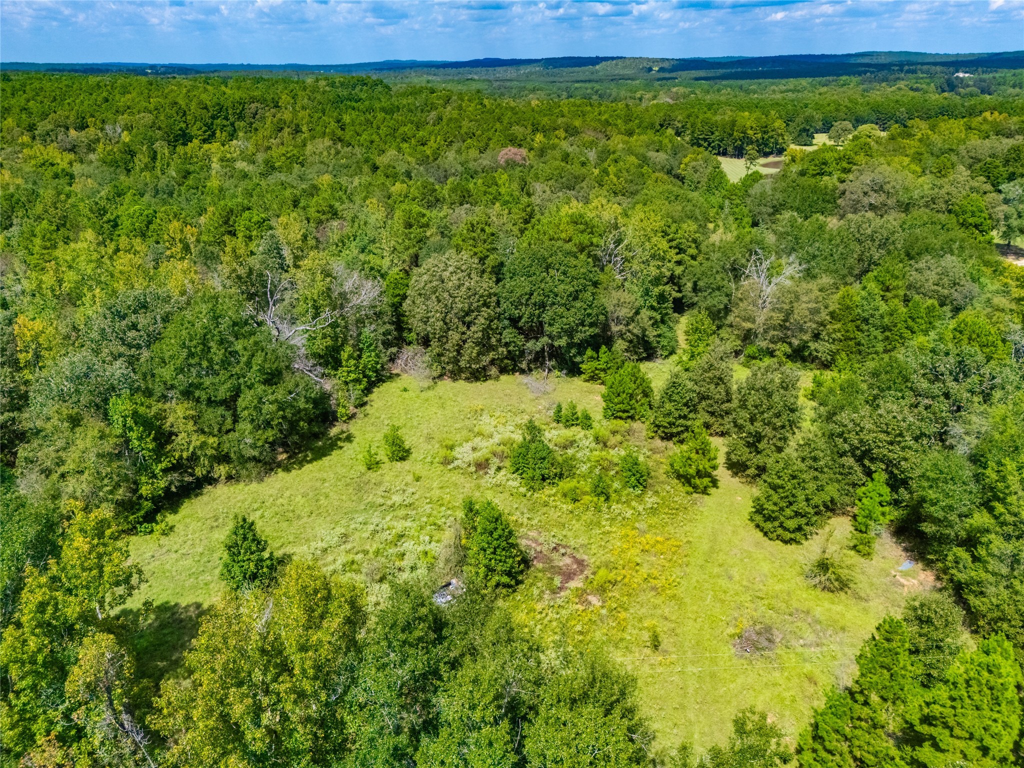 14799 Fm 315 Palestine TX 75803