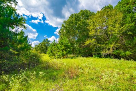 14799 Fm 315 Palestine TX 75803
