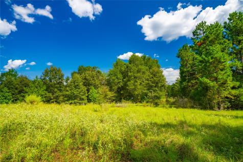14799 Fm 315 Palestine TX 75803