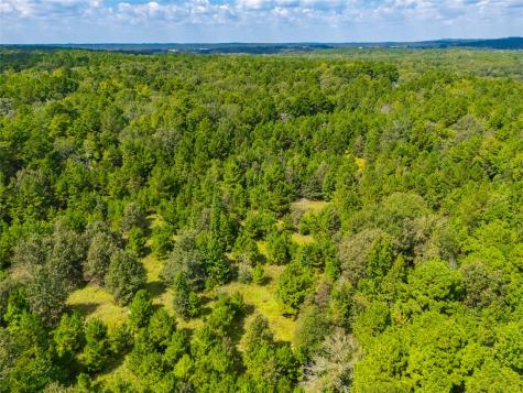 14799 Fm 315 Palestine TX 75803
