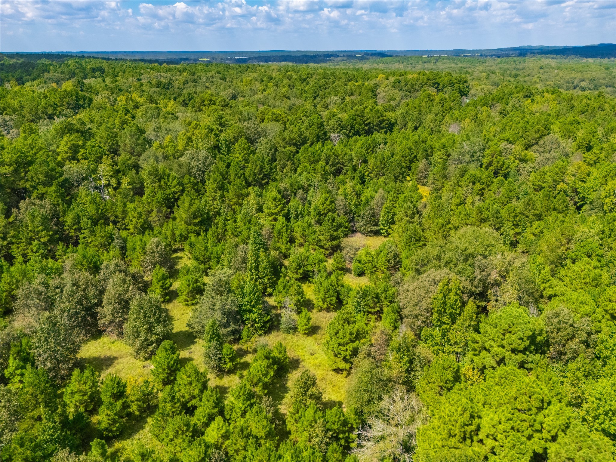 14799 Fm 315 Palestine TX 75803