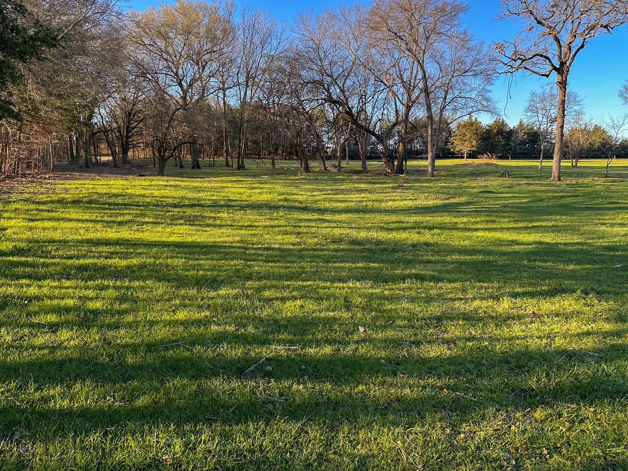 000 Cr-2245 Ivanhoe TX 75447