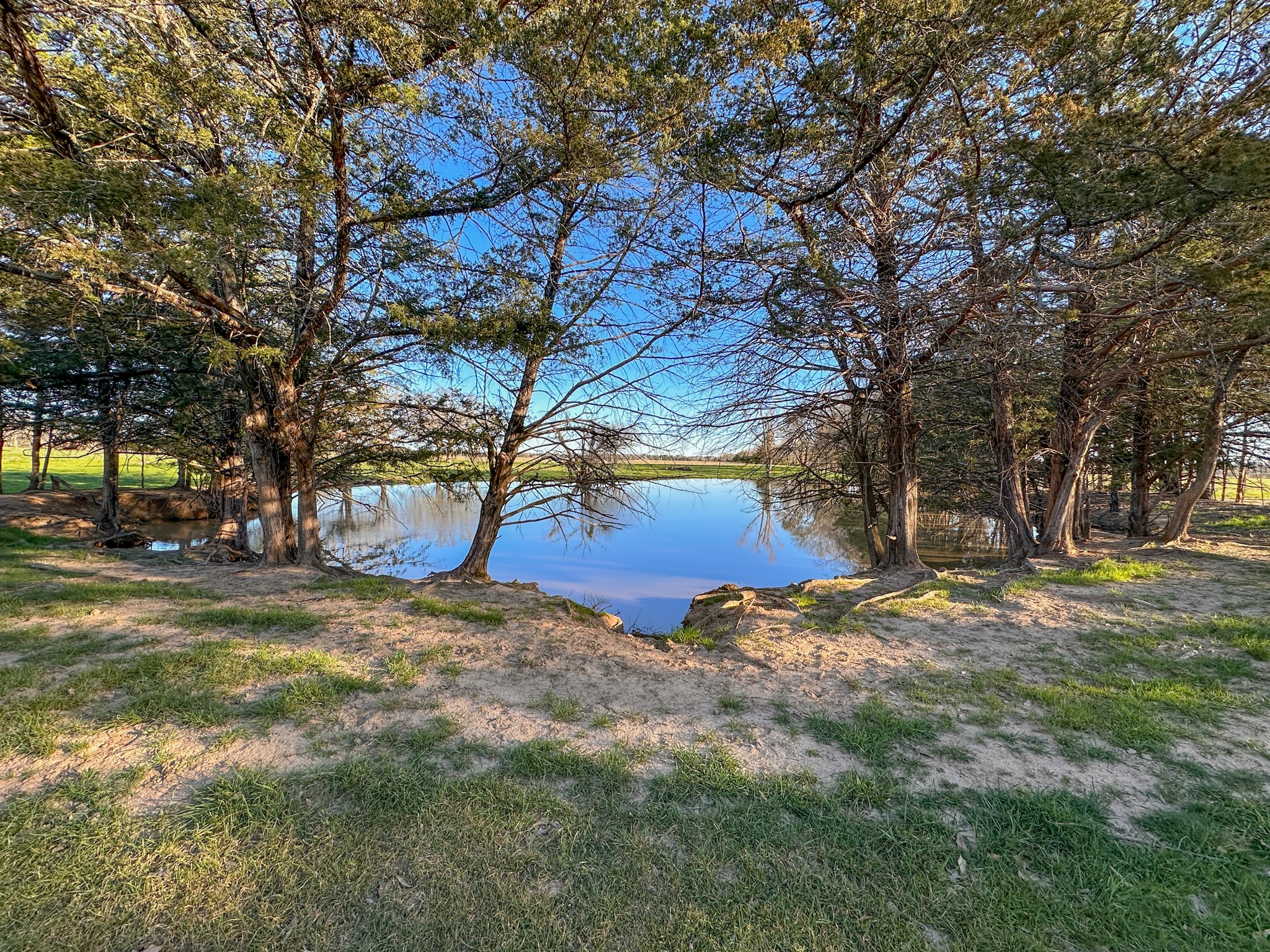 000 Cr-2245 Ivanhoe TX 75447