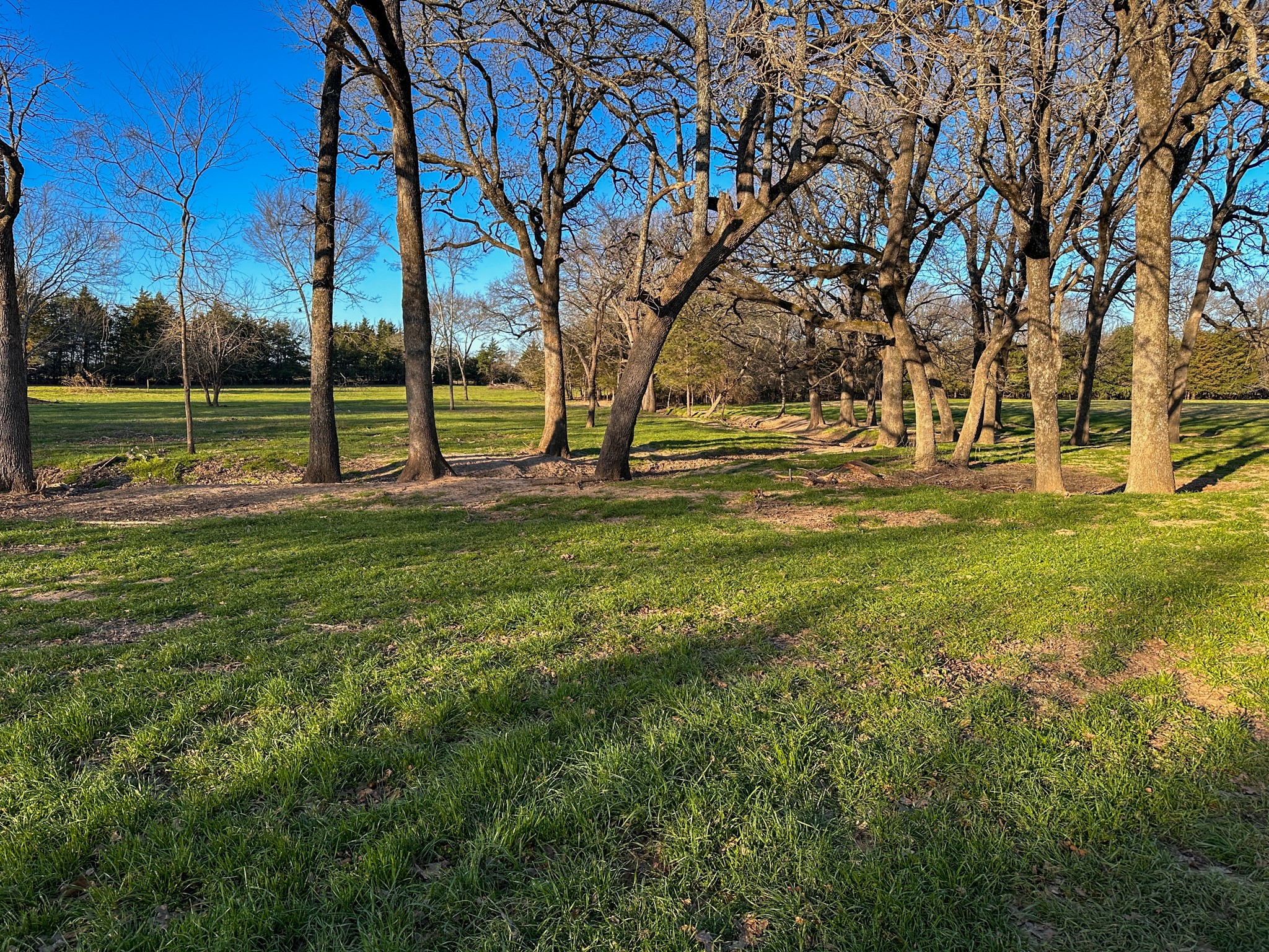 000 Cr-2245 Ivanhoe TX 75447