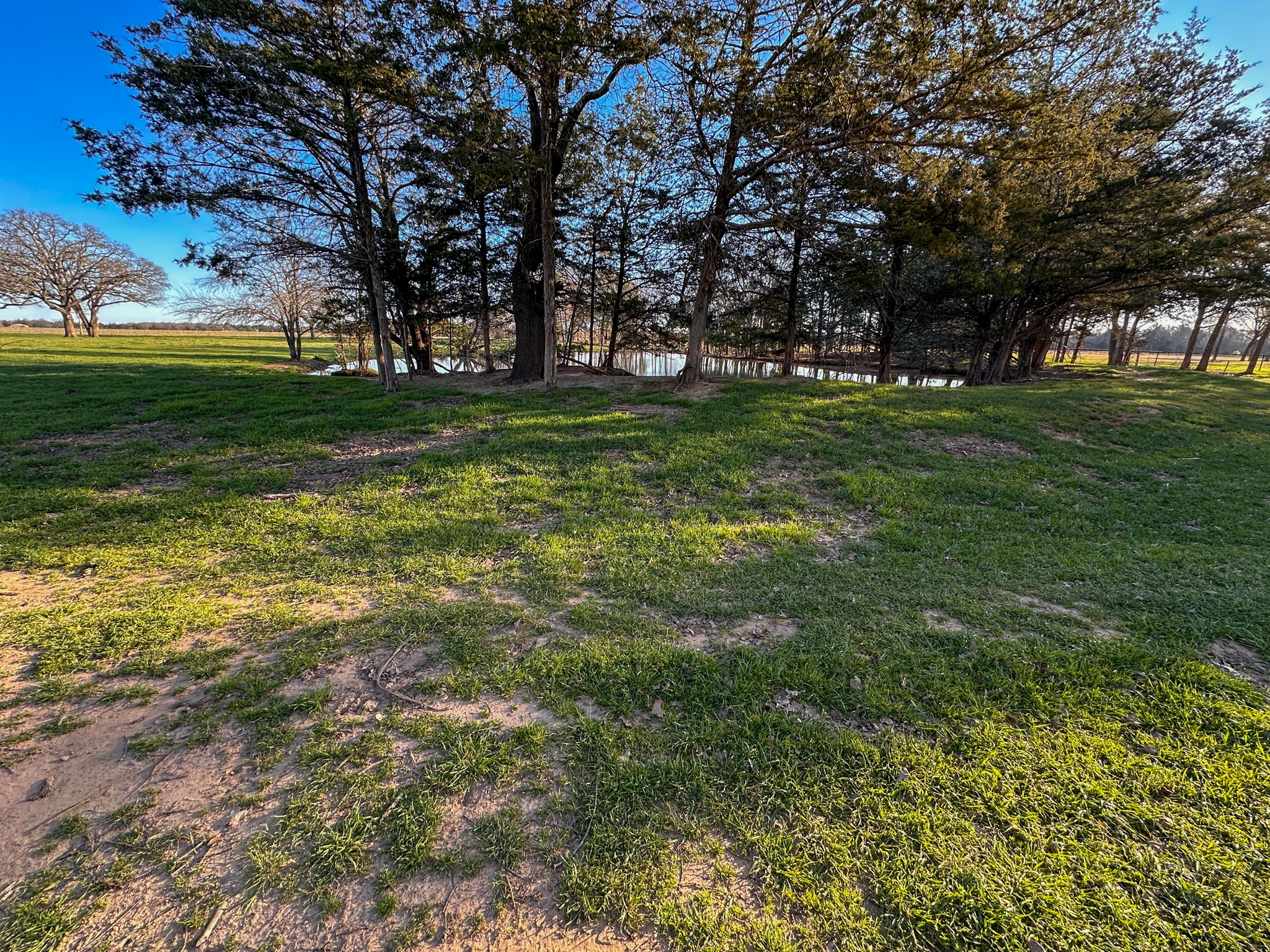 000 Cr-2245 Ivanhoe TX 75447