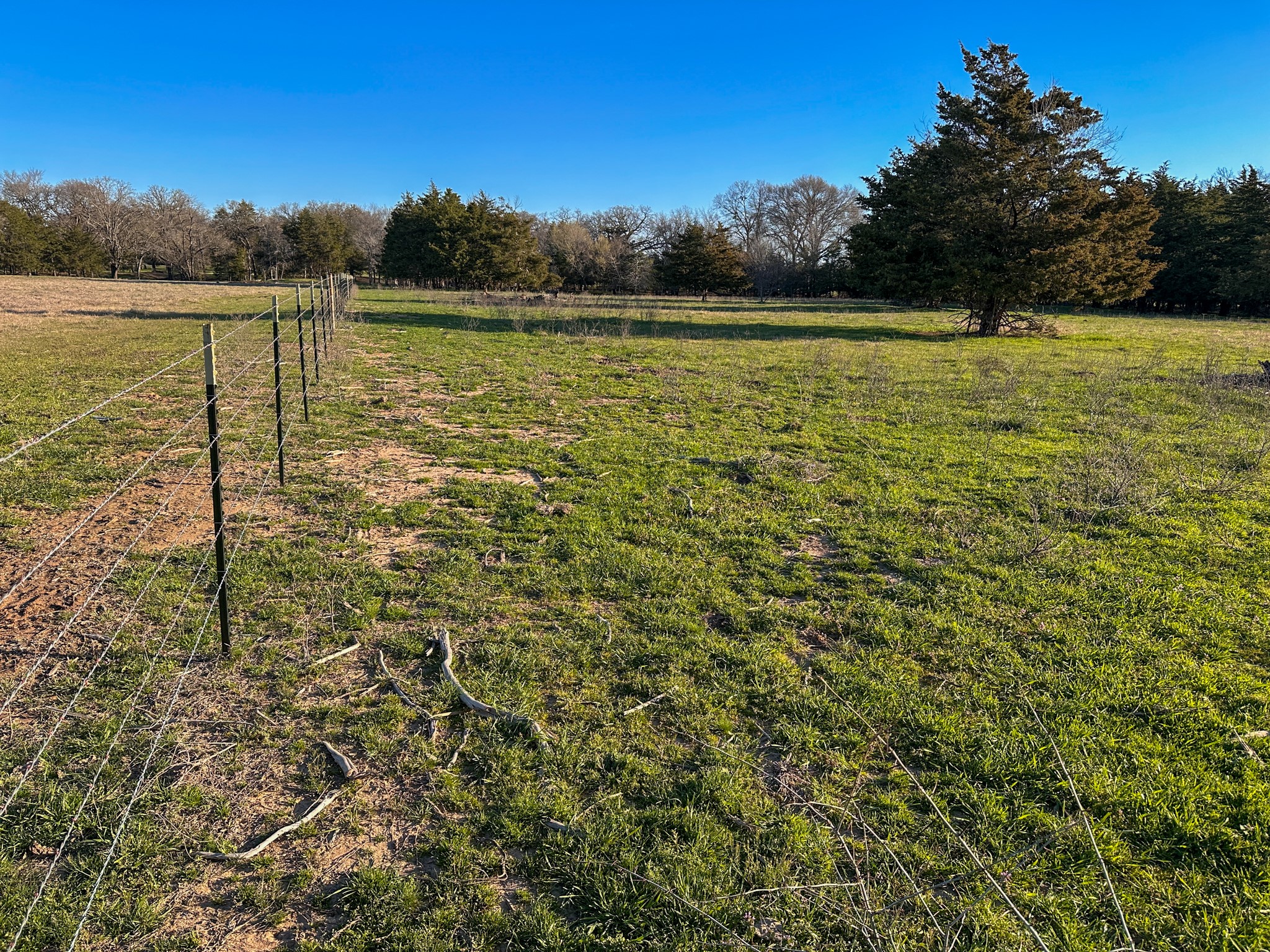 000 Cr-2245 Ivanhoe TX 75447