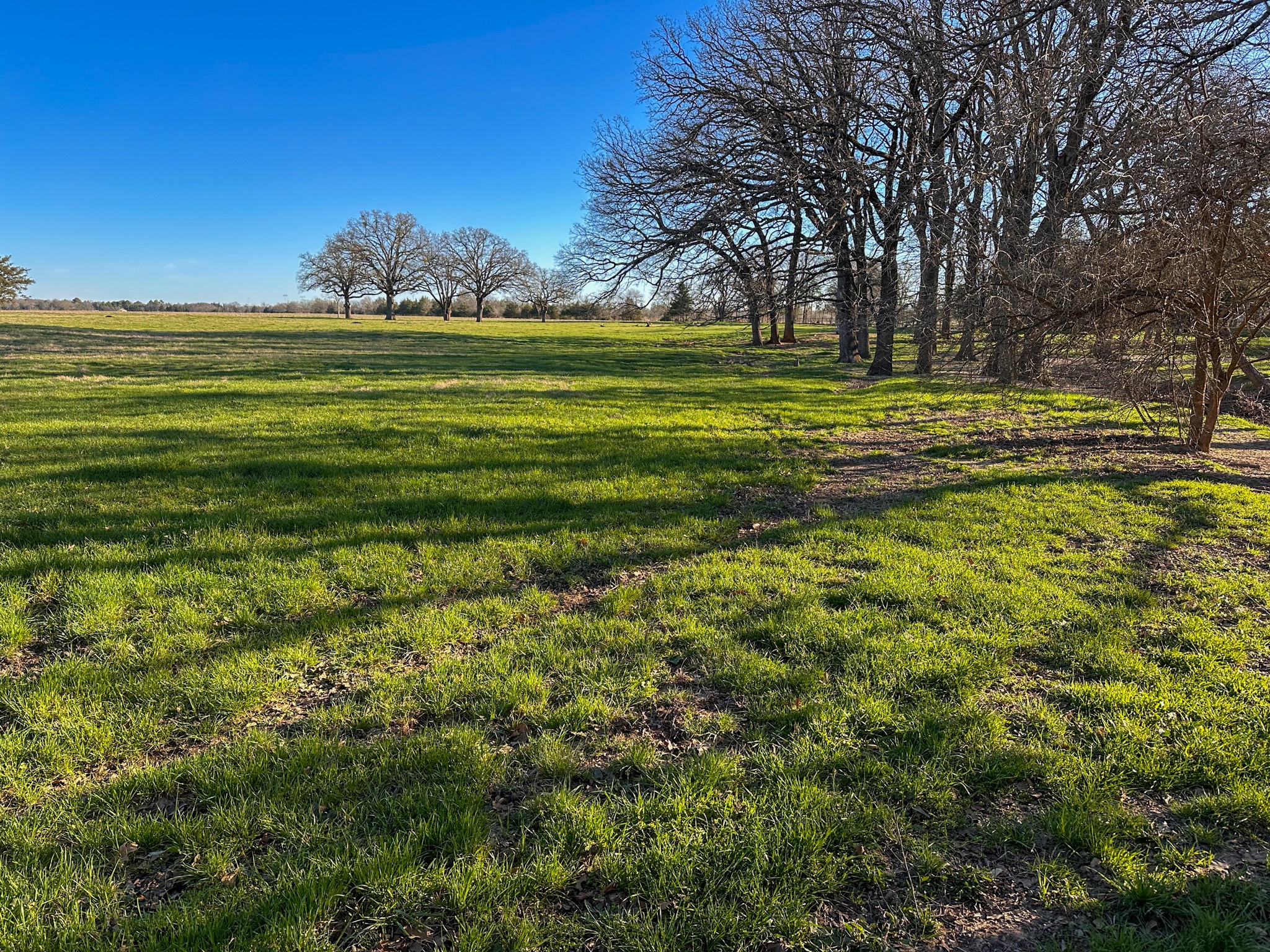 000 Cr-2245 Ivanhoe TX 75447