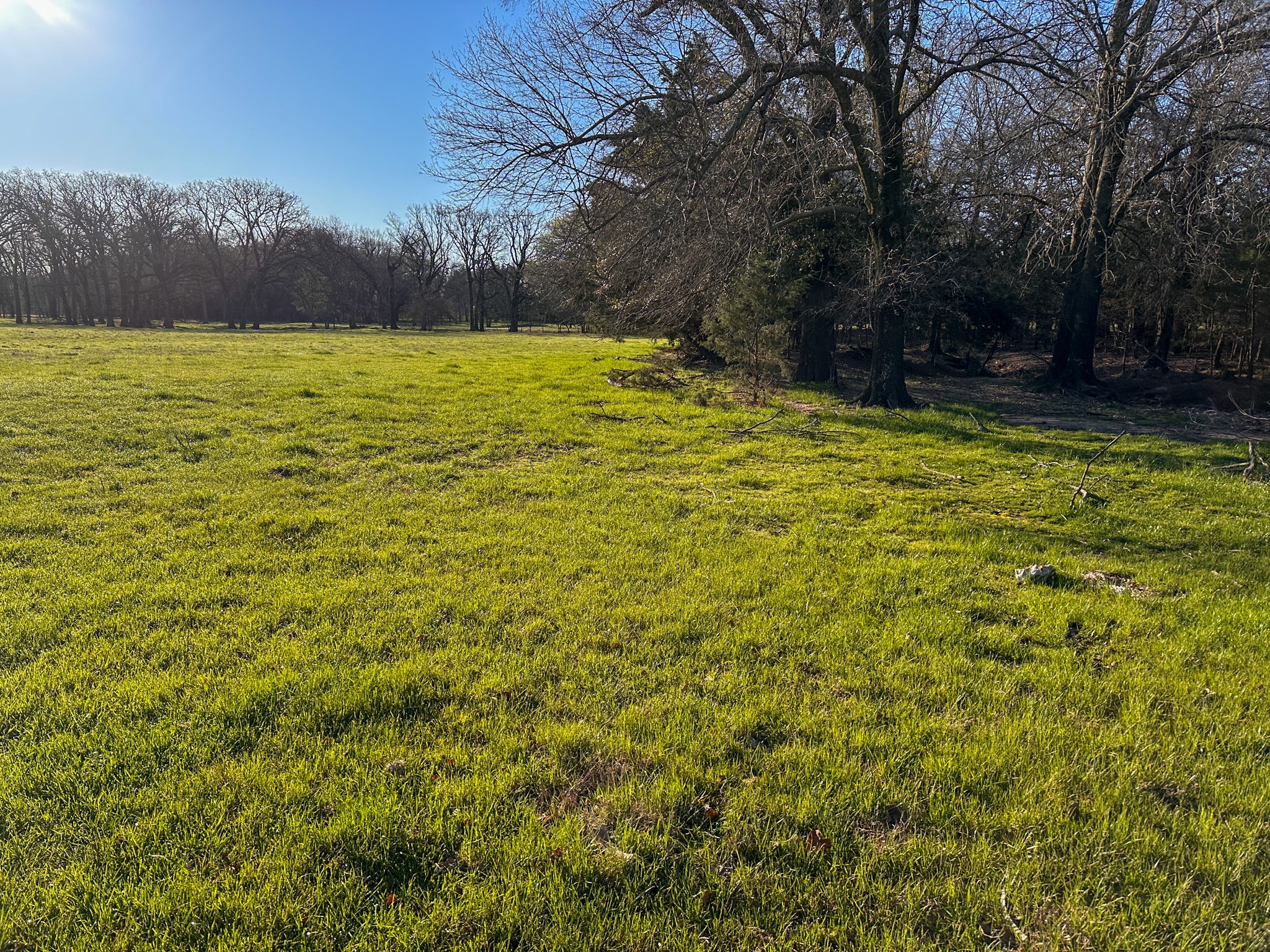 000 Cr-2245 Ivanhoe TX 75447