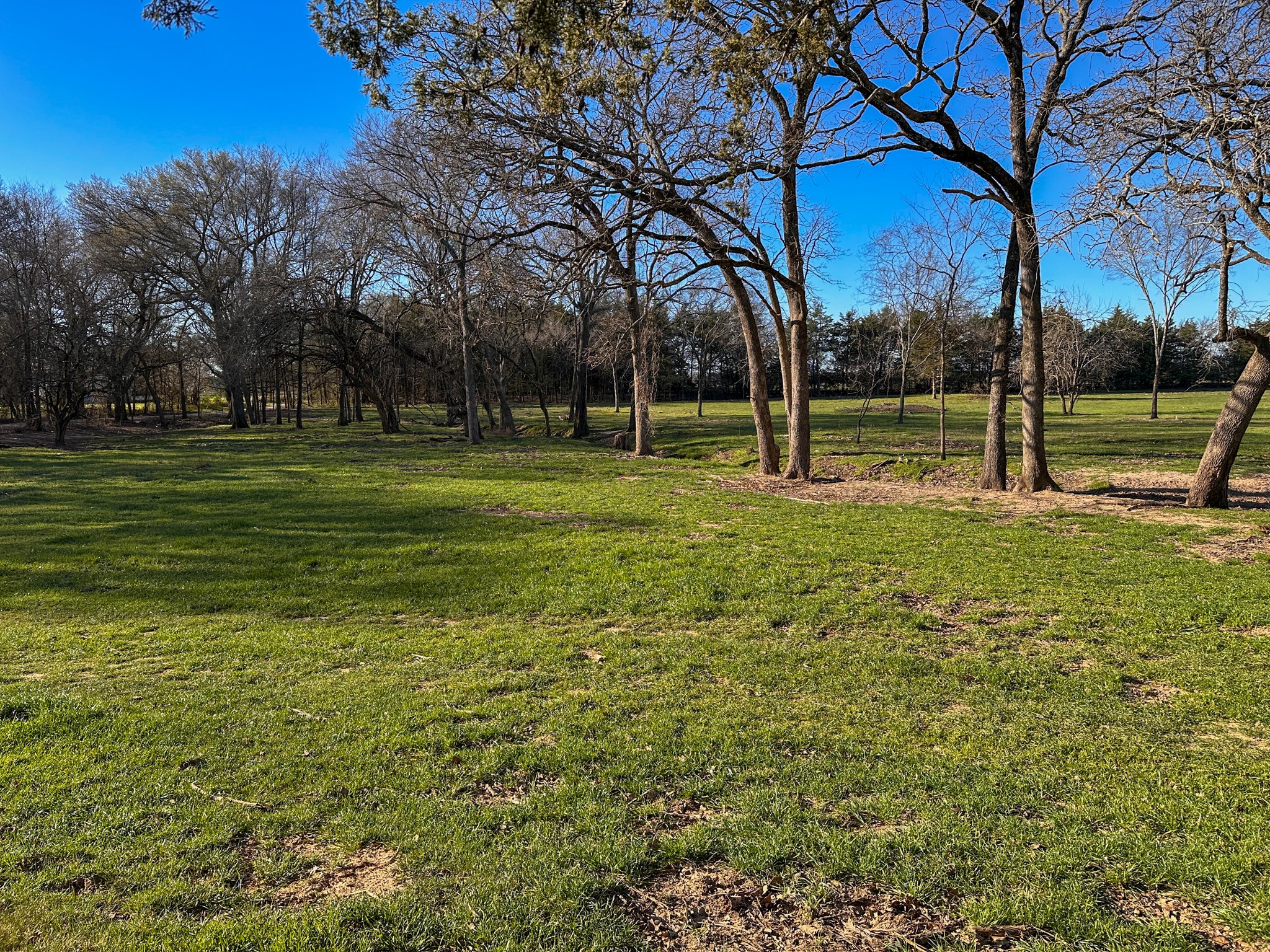 000 Cr-2245 Ivanhoe TX 75447